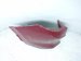 2025 Honda CR V Rear Driver Bumper Corner Cover Red 04718 3A0 A00ZZ Replacement 2025 Honda CR V Rear Driver Bumper Corner Cover Red 04718 3A0 A00ZZ Replacement thumbnail