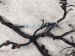 2022 Acura TLX Dash Instrument Wire Harness Aspec 32117 TGV A20 Replacement 2022 Acura TLX Dash Instrument Wire Harness Aspec 32117 TGV A20 Replacement thumbnail