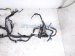 2022 Acura TLX Dash Instrument Wire Harness Aspec 32117 TGV A20 Replacement 2022 Acura TLX Dash Instrument Wire Harness Aspec 32117 TGV A20 Replacement thumbnail