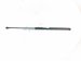 2015 Lexus Rx350 Passenger Hood Shock Strut 53440 0W200 Replacement 2015 Lexus Rx350 Passenger Hood Shock Strut 53440 0W200 Replacement thumbnail