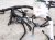 2025 Honda Civic Dash Instrument Wire Harness Si 32117 T38 A00 Replacement 2025 Honda Civic Dash Instrument Wire Harness Si 32117 T38 A00 Replacement thumbnail