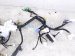 2025 Honda Civic Dash Instrument Wire Harness Si 32117 T38 A00 Replacement 2025 Honda Civic Dash Instrument Wire Harness Si 32117 T38 A00 Replacement thumbnail