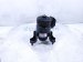 2021 Toyota Highlander Engine/motor Front Engine Mount 2.5l Hyb Awd 12361 F0210 Replacement 2021 Toyota Highlander Engine/motor Front Engine Mount 2.5l Hyb Awd 12361 F0210 Replacement thumbnail