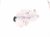 2021 Toyota Highlander Coolant Overflow Reservoir Tank 16470 0P130 Replacement 2021 Toyota Highlander Coolant Overflow Reservoir Tank 16470 0P130 Replacement thumbnail