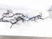 2023 Honda CR V Dash Instrument Wire Harness Ex l 32117 3A0 A21 Replacement 2023 Honda CR V Dash Instrument Wire Harness Ex l 32117 3A0 A21 Replacement thumbnail