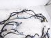 2023 Honda CR V Dash Instrument Wire Harness Ex l 32117 3A0 A21 Replacement 2023 Honda CR V Dash Instrument Wire Harness Ex l 32117 3A0 A21 Replacement thumbnail