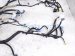 2023 Honda CR V Dash Instrument Wire Harness Ex l 32117 3A0 A21 Replacement 2023 Honda CR V Dash Instrument Wire Harness Ex l 32117 3A0 A21 Replacement thumbnail
