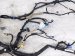 2023 Honda CR V Dash Instrument Wire Harness Ex l 32117 3A0 A21 Replacement 2023 Honda CR V Dash Instrument Wire Harness Ex l 32117 3A0 A21 Replacement thumbnail