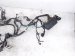 2017 Honda Accord Engine Room Harness 2.4l Fwd 32200 T2A A02 Replacement 2017 Honda Accord Engine Room Harness 2.4l Fwd 32200 T2A A02 Replacement thumbnail