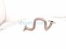 2025 Honda Civic Egr Pipe 2.0l Hybrid 18717 6MA J00 Replacement 2025 Honda Civic Egr Pipe 2.0l Hybrid 18717 6MA J00 Replacement thumbnail