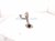 2025 Honda Civic Egr Pipe 2.0l Hybrid 18717 6MA J00 Replacement 2025 Honda Civic Egr Pipe 2.0l Hybrid 18717 6MA J00 Replacement thumbnail