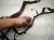 2019 Chrysler 300 Dash Instrument Wire Harness Awd 68406052AB Replacement 2019 Chrysler 300 Dash Instrument Wire Harness Awd 68406052AB Replacement thumbnail