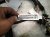 2019 Chrysler 300 Dash Instrument Wire Harness Awd 68406052AB Replacement 2019 Chrysler 300 Dash Instrument Wire Harness Awd 68406052AB Replacement thumbnail