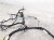 2020 Honda Odyssey Instrument Wire Harness Ex l 32115 THR 408 Replacement 2020 Honda Odyssey Instrument Wire Harness Ex l 32115 THR 408 Replacement thumbnail