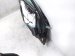 2025 Honda Accord Front Driver Door Black No Mirror/trim 67050 30A A00ZZ Replacement 2025 Honda Accord Front Driver Door Black No Mirror/trim 67050 30A A00ZZ Replacement thumbnail