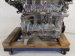 2025 Honda Accord Long Block Engine / Motor = 67k Mi 10002 6NA A00 Replacement 2025 Honda Accord Long Block Engine / Motor = 67k Mi 10002 6NA A00 Replacement thumbnail
