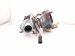 2025 Honda Accord Turbocharger 67k 18900 6NA A02 Replacement 2025 Honda Accord Turbocharger 67k 18900 6NA A02 Replacement thumbnail
