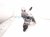 2025 Honda Accord Turbocharger 67k 18900 6NA A02 Replacement 2025 Honda Accord Turbocharger 67k 18900 6NA A02 Replacement thumbnail