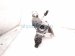 2025 Honda Accord Turbocharger 67k 18900 6NA A02 Replacement 2025 Honda Accord Turbocharger 67k 18900 6NA A02 Replacement thumbnail