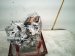 2026 Toyota Camry Automatic Transmission = Mi 30900 06050 Replacement 2026 Toyota Camry Automatic Transmission = Mi 30900 06050 Replacement thumbnail