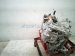 2026 Toyota Camry Automatic Transmission = Mi 30900 06050 Replacement 2026 Toyota Camry Automatic Transmission = Mi 30900 06050 Replacement thumbnail