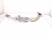 2023 Mazda Cx 30 Egr Cooler Assy 2.5l Fwd PX9R 20 30Y Replacement 2023 Mazda Cx 30 Egr Cooler Assy 2.5l Fwd PX9R 20 30Y Replacement thumbnail