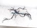 2021 Honda Accord Dash Instrument Wire Harness Sport 32117 TVC AF1 Replacement 2021 Honda Accord Dash Instrument Wire Harness Sport 32117 TVC AF1 Replacement thumbnail