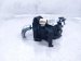 2014 Toyota Prius A/t Floor Shifter Assy 1.8l Fwd 33550 47053 B1 Replacement 2014 Toyota Prius A/t Floor Shifter Assy 1.8l Fwd 33550 47053 B1 Replacement thumbnail