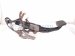 2014 Toyota Prius Brake Pedal Assy 1.8l Hybrid 47110 76060 Replacement 2014 Toyota Prius Brake Pedal Assy 1.8l Hybrid 47110 76060 Replacement thumbnail