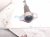 2025 Toyota Camry Strut / Spring / Rear Driver Shock Absorber 2.5l Fwd 48530 8Z316 Replacement 2025 Toyota Camry Strut / Spring / Rear Driver Shock Absorber 2.5l Fwd 48530 8Z316 Replacement thumbnail