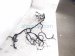 2022 Honda Passport Dash Instrument Wire Harness Ex l 32117 TGT AN1 Replacement 2022 Honda Passport Dash Instrument Wire Harness Ex l 32117 TGT AN1 Replacement thumbnail