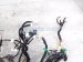 2022 Honda Passport Dash Instrument Wire Harness Ex l 32117 TGT AN1 Replacement 2022 Honda Passport Dash Instrument Wire Harness Ex l 32117 TGT AN1 Replacement thumbnail