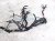 2022 Honda Passport Dash Instrument Wire Harness Ex l 32117 TGT AN1 Replacement 2022 Honda Passport Dash Instrument Wire Harness Ex l 32117 TGT AN1 Replacement thumbnail