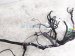 2022 Honda Passport Dash Instrument Wire Harness Ex l 32117 TGT AN1 Replacement 2022 Honda Passport Dash Instrument Wire Harness Ex l 32117 TGT AN1 Replacement thumbnail