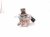 2025 Toyota Camry High Pressure Fuel Pump Engine Mtd 23101 25040 Replacement 2025 Toyota Camry High Pressure Fuel Pump Engine Mtd 23101 25040 Replacement thumbnail
