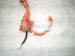 2026 Toyota Camry Hybrid High Voltage Battery Cable 821H1 06080 Replacement 2026 Toyota Camry Hybrid High Voltage Battery Cable 821H1 06080 Replacement thumbnail