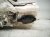 2019 Toyota C HR A/c Heater Core W/blower Motor 87050 12C00 Replacement 2019 Toyota C HR A/c Heater Core W/blower Motor 87050 12C00 Replacement thumbnail