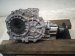 2022 Kia Telluride Transfer Case Assy 3.8l Awd 47313 4G600 Replacement 2022 Kia Telluride Transfer Case Assy 3.8l Awd 47313 4G600 Replacement thumbnail