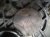 2022 Kia Telluride Transfer Case Assy 3.8l Awd 47313 4G600 Replacement 2022 Kia Telluride Transfer Case Assy 3.8l Awd 47313 4G600 Replacement thumbnail
