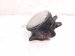 2018 Honda Civic Driver Fog Lamp / Light 33950 TBA A01 Replacement 2018 Honda Civic Driver Fog Lamp / Light 33950 TBA A01 Replacement thumbnail