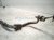 2022 Subaru WRX Front Stabilizer / Sway Bar W/links 20401VC000 Replacement 2022 Subaru WRX Front Stabilizer / Sway Bar W/links 20401VC000 Replacement thumbnail