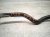 2022 Subaru WRX Front Stabilizer / Sway Bar W/links 20401VC000 Replacement 2022 Subaru WRX Front Stabilizer / Sway Bar W/links 20401VC000 Replacement thumbnail