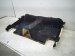 2019 BMW 330i Ground Rear Floor Carpet Black Sdn 51 47 7 483 082 Replacement 2019 BMW 330i Ground Rear Floor Carpet Black Sdn 51 47 7 483 082 Replacement thumbnail