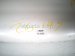 2015 Lexus Rx350 Hood White 53301 48140 Replacement 2015 Lexus Rx350 Hood White 53301 48140 Replacement thumbnail