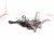 2014 Toyota Prius Parking Brake Pedal Assy Driver 46200 47070 Replacement 2014 Toyota Prius Parking Brake Pedal Assy Driver 46200 47070 Replacement thumbnail