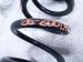 2025 Honda Pilot Strut / / Shock Absorber Rear Driver Coil Spring Awd 52446 T90 A02 Replacement 2025 Honda Pilot Strut / / Shock Absorber Rear Driver Coil Spring Awd 52446 T90 A02 Replacement thumbnail