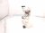 2022 Toyota Venza Gas / Fuel Pump (tank Mounted) 77020 42251 Replacement 2022 Toyota Venza Gas / Fuel Pump (tank Mounted) 77020 42251 Replacement thumbnail