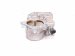2022 Toyota Venza Throttle Body 22030 F0020 Replacement 2022 Toyota Venza Throttle Body 22030 F0020 Replacement thumbnail