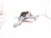2023 Mazda Cx 30 Engine/motor Passenger Engine Mount 2.5l Fwd BFWM 39 060 Replacement 2023 Mazda Cx 30 Engine/motor Passenger Engine Mount 2.5l Fwd BFWM 39 060 Replacement thumbnail