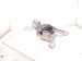 2023 Mazda Cx 30 Engine/motor Passenger Engine Mount 2.5l Fwd BFWM 39 060 Replacement 2023 Mazda Cx 30 Engine/motor Passenger Engine Mount 2.5l Fwd BFWM 39 060 Replacement thumbnail